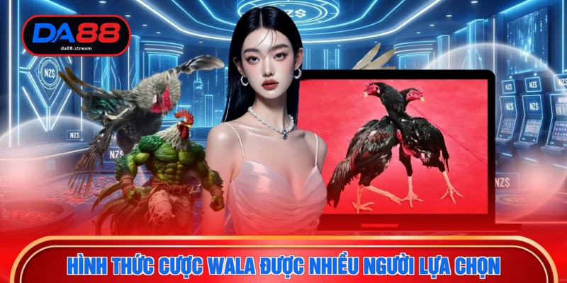 Đá Gà DA88 2 Hình thức cược Wala được nhiều người lựa chọn